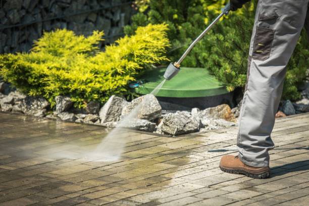 Best Boat and Dock Cleaning  in Wakefield, NE
