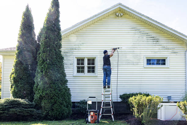Best Building Exterior Washing  in Wakefield, NE